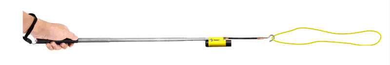 Reolink Go (4G)