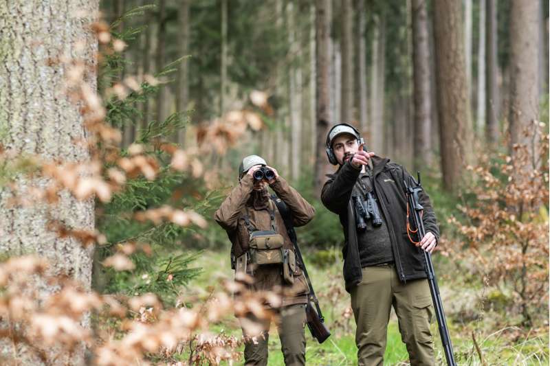 ISOTunes Falkon  Hunting Green